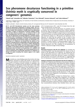 Sex Pheromone Desaturase Functioning in a Primitive Ostrinia Moth Is Cryptically Conserved in Congeners’ Genomes