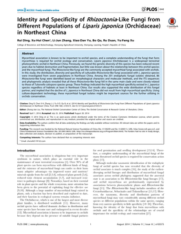 Identity and Specificity of Rhizoctonia-Like Fungi from Different Populations of Liparis Japonica (Orchidaceae) in Northeast China