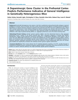 A Dopaminergic Gene Cluster in the Prefrontal Cortex Predicts Performance Indicative of General Intelligence in Genetically Heterogeneous Mice