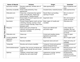 Muscle Table