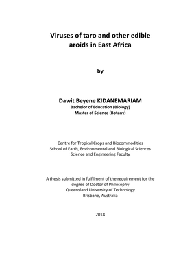 Dawit Kidanemariam Thesis