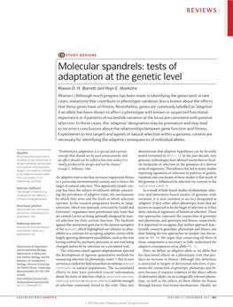 Molecular Spandrels: Tests of Adaptation at the Genetic Level