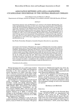 Association Between Ants and a Leafhopper (Cicadellidae: Idiocerinae) in the Central Brazilian Cerrado