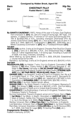 CHESTNUT FILLY Barn 24 Hip No