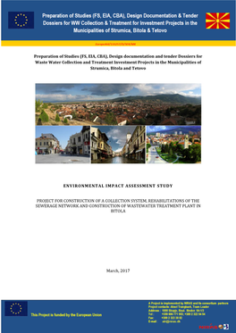 Preparation of Studies (FS, EIA, CBA), Design Documentation and Tender