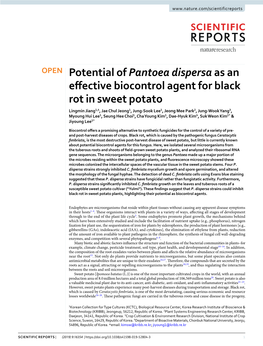 Potential of Pantoea Dispersa As an Effective Biocontrol Agent for Black Rot in Sweet Potato