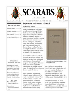 The Forgotten Horned Scarab… and a View of French Lucanids by Olivier Décobert Oldec@Wanadoo.Fr