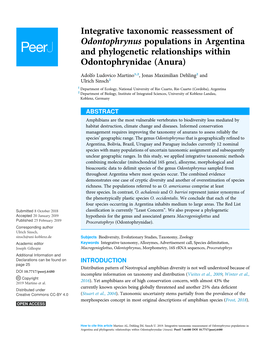 Integrative Taxonomic Reassessment of Odontophrynus Populations in Argentina and Phylogenetic Relationships Within Odontophrynidae (Anura)