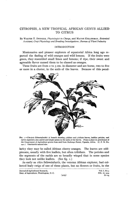 Citropsis, a New Tropical African Genus Allied to Citrus