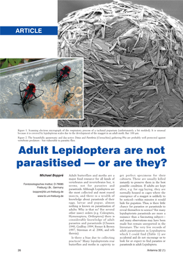 Adult Lepidoptera Are Not Parasitised — Or Are They?