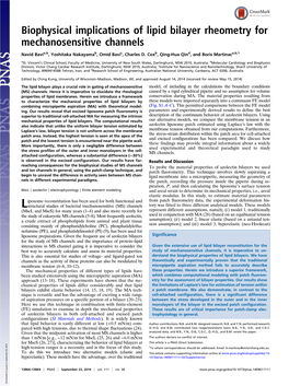 Biophysical Implications of Lipid Bilayer Rheometry for Mechanosensitive Channels
