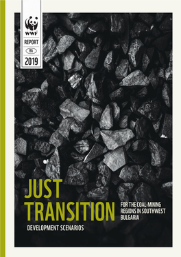 JUST TRANSITION for the COAL-MINING REGIONS in SOUTHWEST BULGARIA Development Scenarios Summary Report