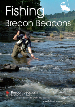 Fishing in the Brecon Beacons