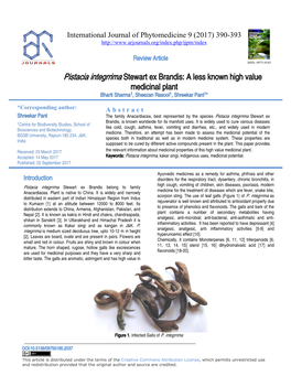 Pistacia Integrrima Stewart Ex Brandis: a Less Known High Value Medicinal Plant Bharti Sharma1, Sheezan Rasool1, Shreekar Pant1*