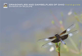 Dragonflies and Damselflies of Ohio F I E L D G U I D E DIVISION of WILDLIFE I Ntroduction