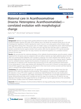 Maternal Care in Acanthosomatinae