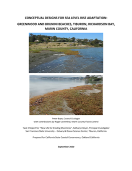 Greenwood and Brunini Beaches, Tiburon, Richardson Bay, Marin County, California