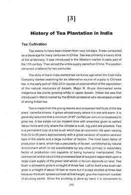 History of Tea Plantation in India