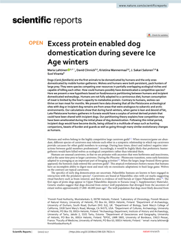 Excess Protein Enabled Dog Domestication During Severe Ice Age Winters Maria Lahtinen 1,2*, David Clinnick3,4, Kristiina Mannermaa5,6, J