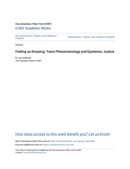 Trans Phenomenology and Epistemic Justice