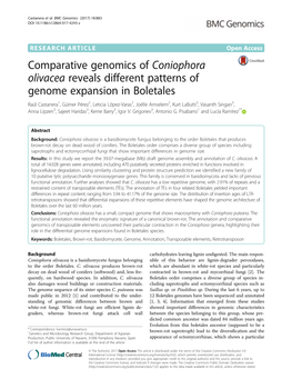 Comparative Genomics of Coniophora Olivacea Reveals Different Patterns of Genome Expansion in Boletales