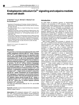 Endoplasmic Reticulum Ca2+ Signaling and Calpains Mediate Renal Cell Death