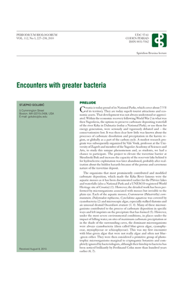 Encounters with Greater Bacteria