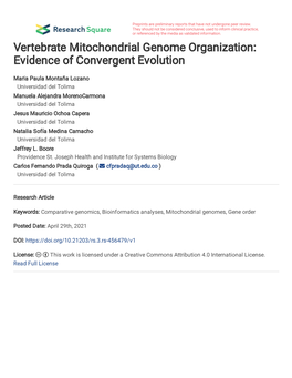 Vertebrate Mitochondrial Genome Organization: Evidence of Convergent Evolution