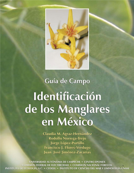 Guía De Campo. Identificación De Los Manglares En México. Universidad Autónoma De Campeche