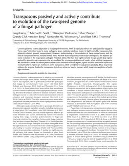 Transposons Passively and Actively Contribute to Evolution of the Two-Speed Genome of a Fungal Pathogen