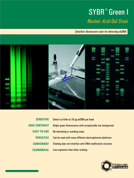 SYBR Green I Nucleic Acid Gel Stain