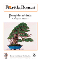 Pemphis Acidula – a Tropical Classic by CHENG CHENG-KUNG