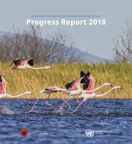 Progress Report 2018 PROGRAMME of COOPERATION for SUSTAINABLE DEVELOPMENT 2017-2021 Progress Report 2018