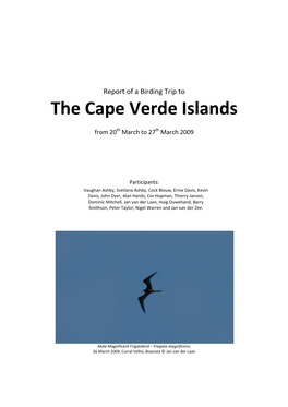 The Cape Verde Islands