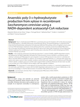 Anaerobic Poly-3-D-Hydroxybutyrate Production from Xylose in Recombinant Saccharomyces Cerevisiae Using a NADH-Dependent Acetoac