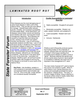 Laminated Root Rot