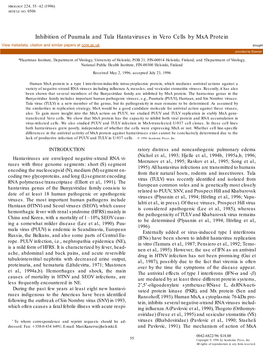 Inhibition of Puumala and Tula Hantaviruses in Vero Cells by Mxa Protein