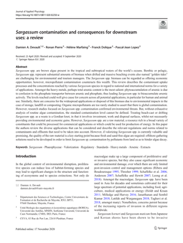 Sargassum Contamination and Consequences for Downstream Uses: a Review
