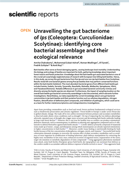 Unravelling the Gut Bacteriome of Ips (Coleoptera: Curculionidae