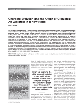 Chordate Evolution and the Origin of Craniates: an Old Brain in a New Head