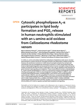 Cytosolic Phospholipase A2: Physiological Function and Role in Disease