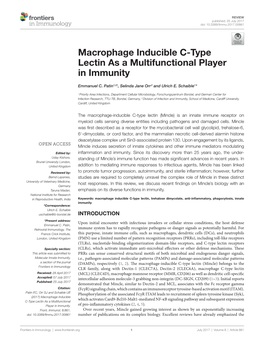 Macrophage Inducible C-Type Lectin As a Multifunctional Player in Immunity