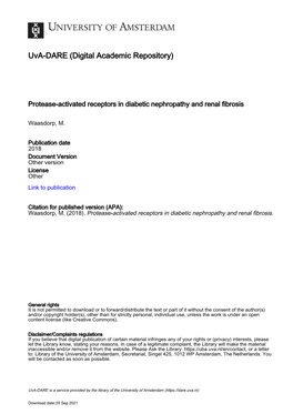 Plasmin Reduces Fibronectin Deposition by Mesangial Cells in a Protease-Activated Receptor-1 Independent Manner