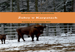 Żubry W Karpatach