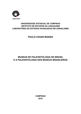 Paulo Cesar Manzig Museus De Paleontologia No Brasil E A