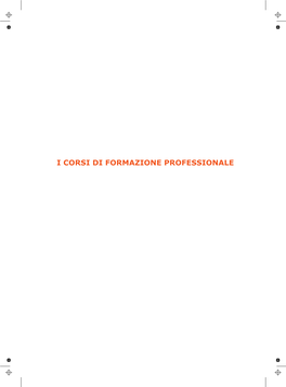 I Corsi Di Formazione Professionale I Corsi Di Formazione Professionale Il Sistema Di Istruzione E Formazione Professionale