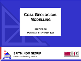 Coal Geological Modelling