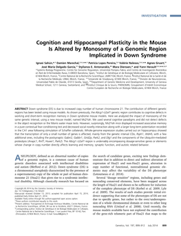 Cognition and Hippocampal Plasticity in the Mouse Is Altered by Monosomy of a Genomic Region Implicated in Down Syndrome