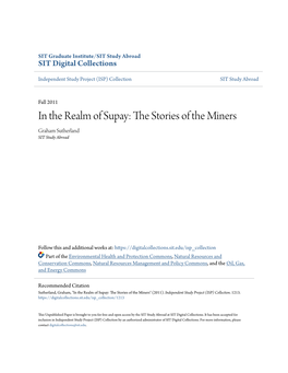 In the Realm of Supay: the Stories of the Miners