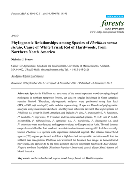 Phylogenetic Relationships Among Species of Phellinus Sensu Stricto, Cause of White Trunk Rot of Hardwoods, from Northern North America